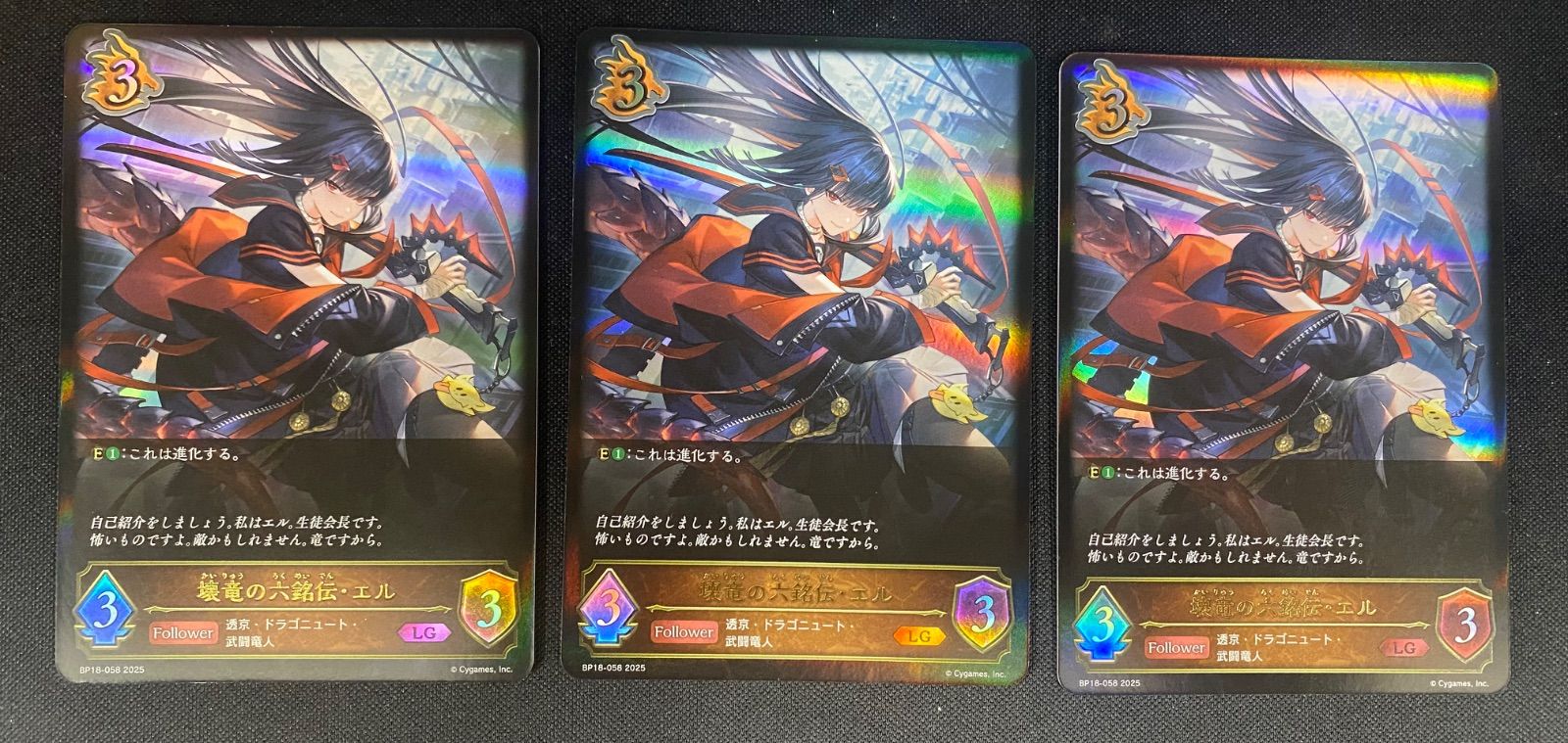 壊竜の六銘伝 エル LG 進化前3 エボルヴ