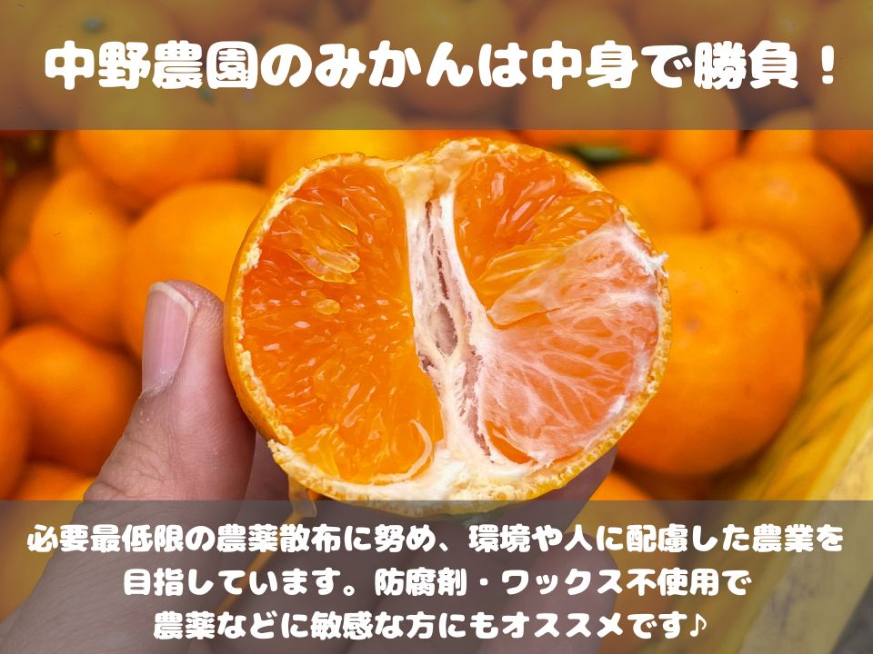 有田みかん 5キロ 早生みかん 和歌山 減農薬