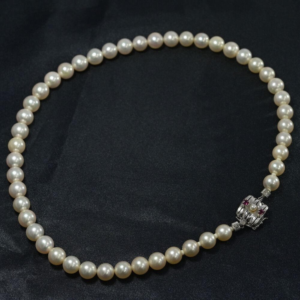 シロチョウ サウスシーパール