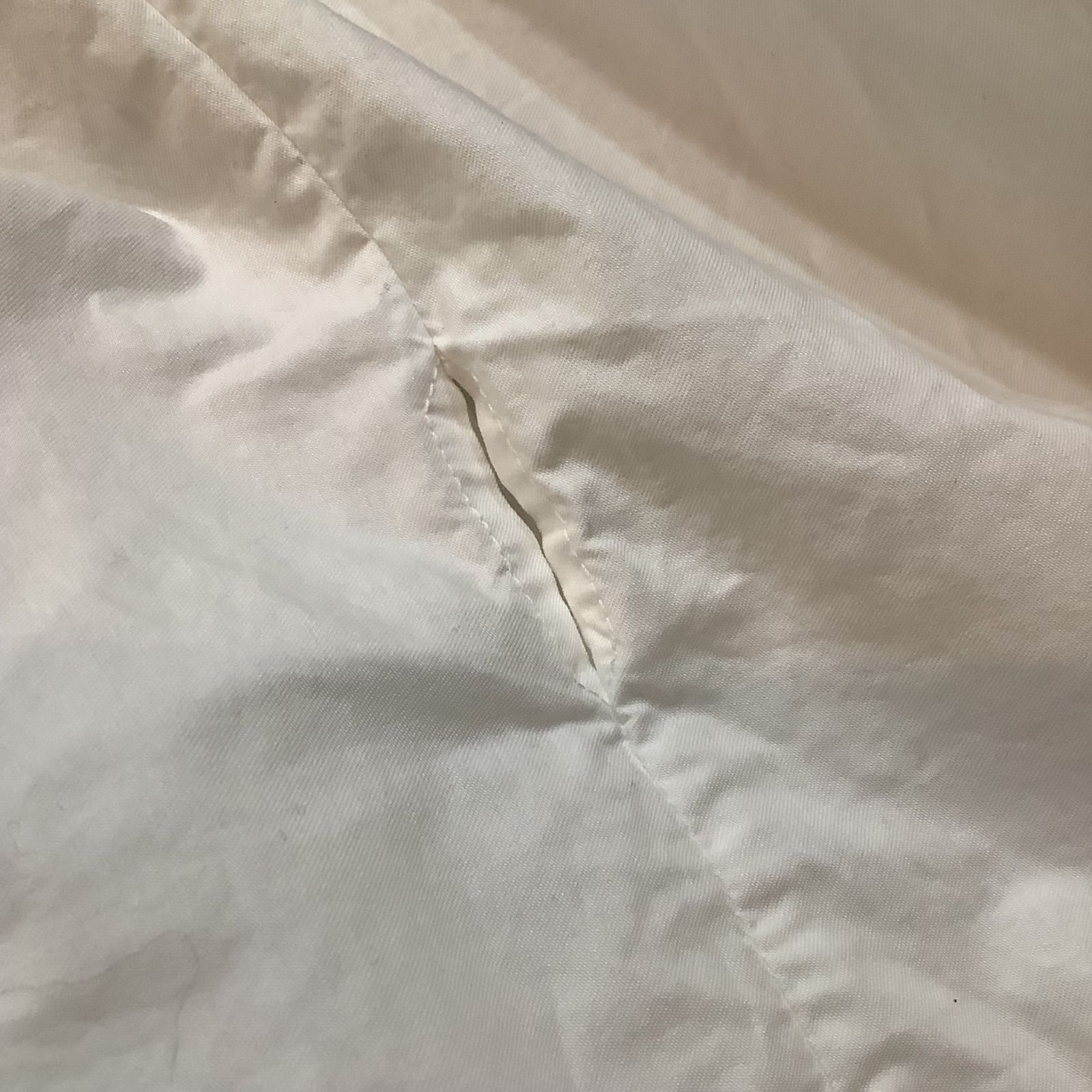 GARCONS コットン