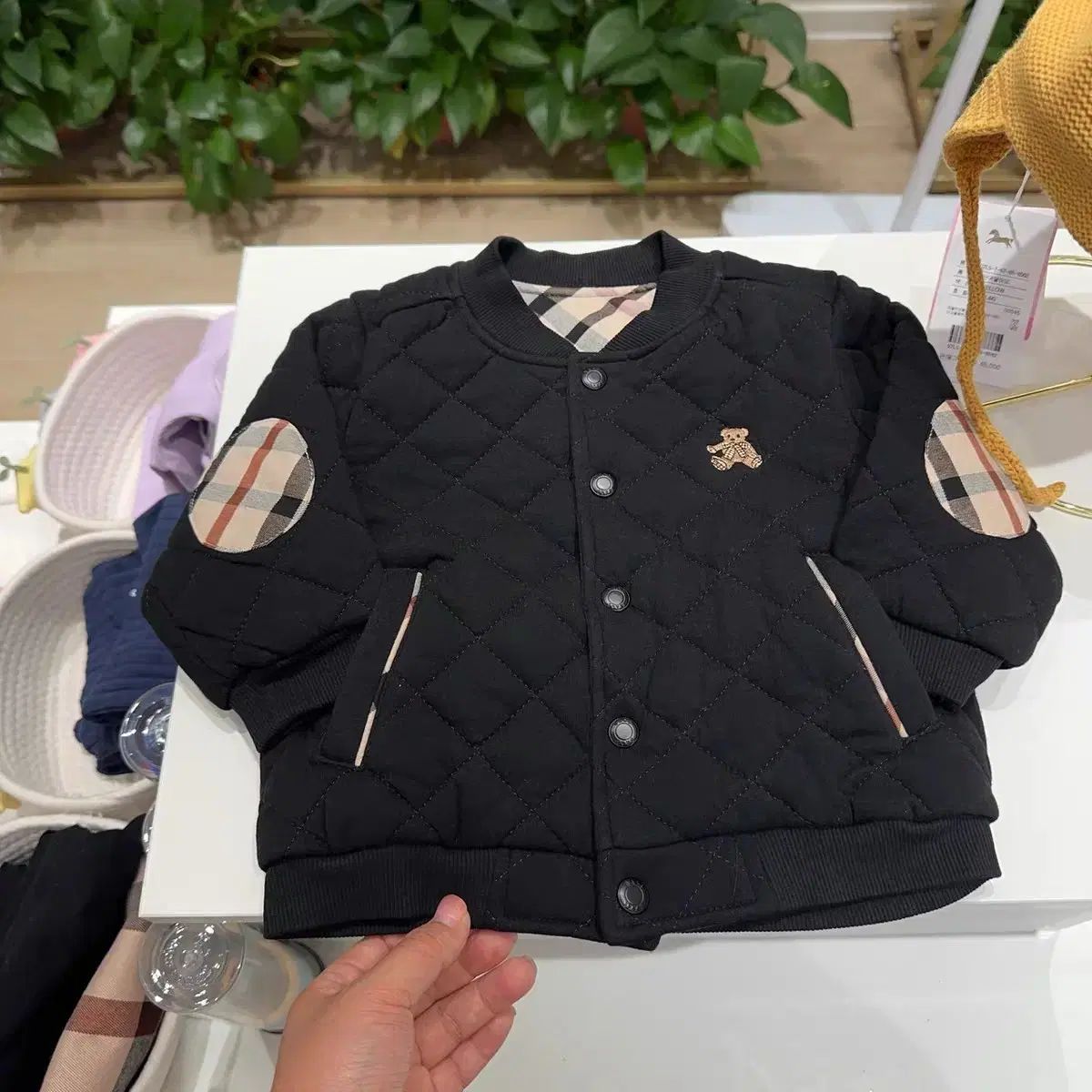 ダックスベイビー