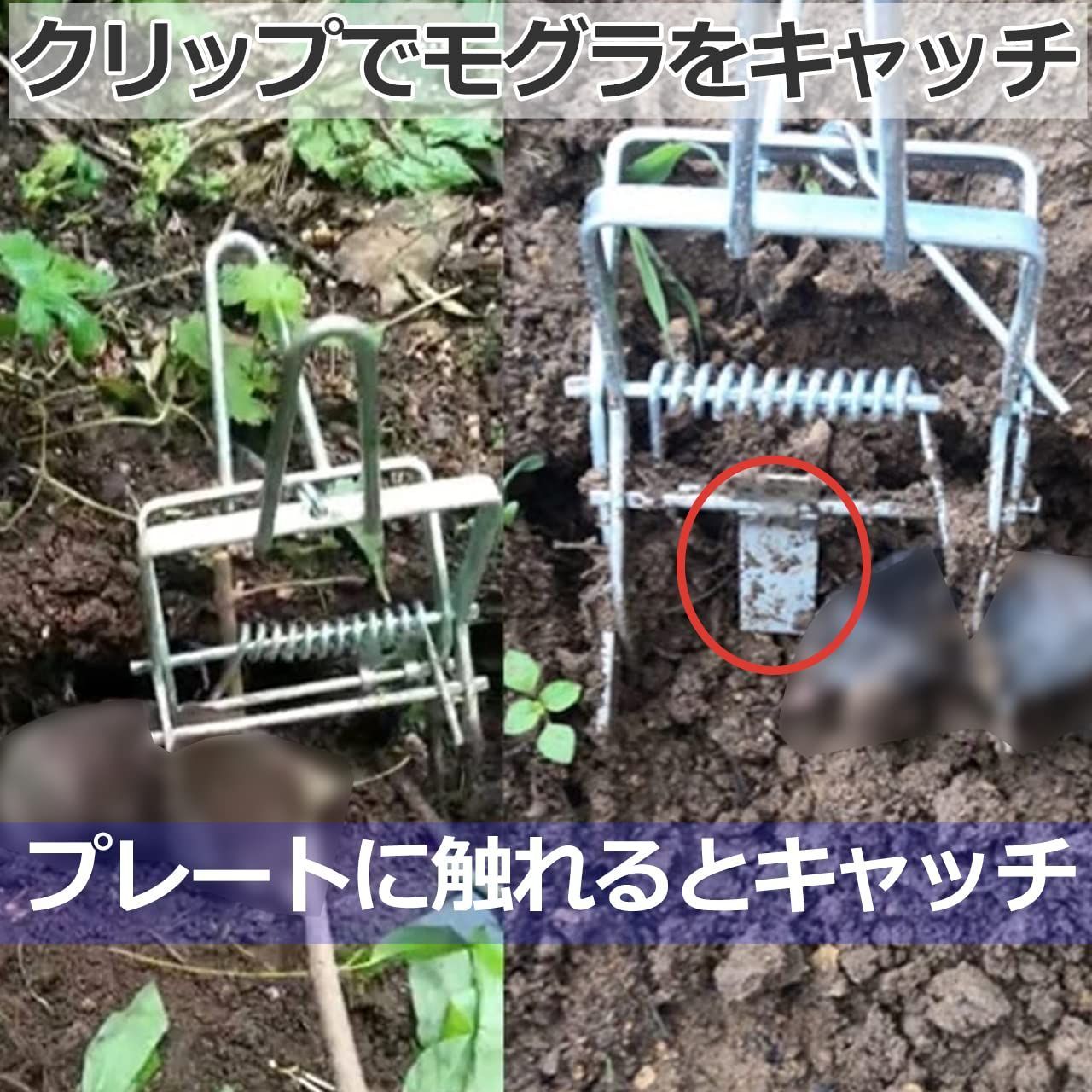 モグラクリップ 外注駆除