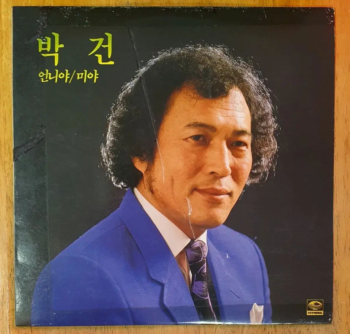 パークガン 1 家 LP アンニヤ ミヤ その人