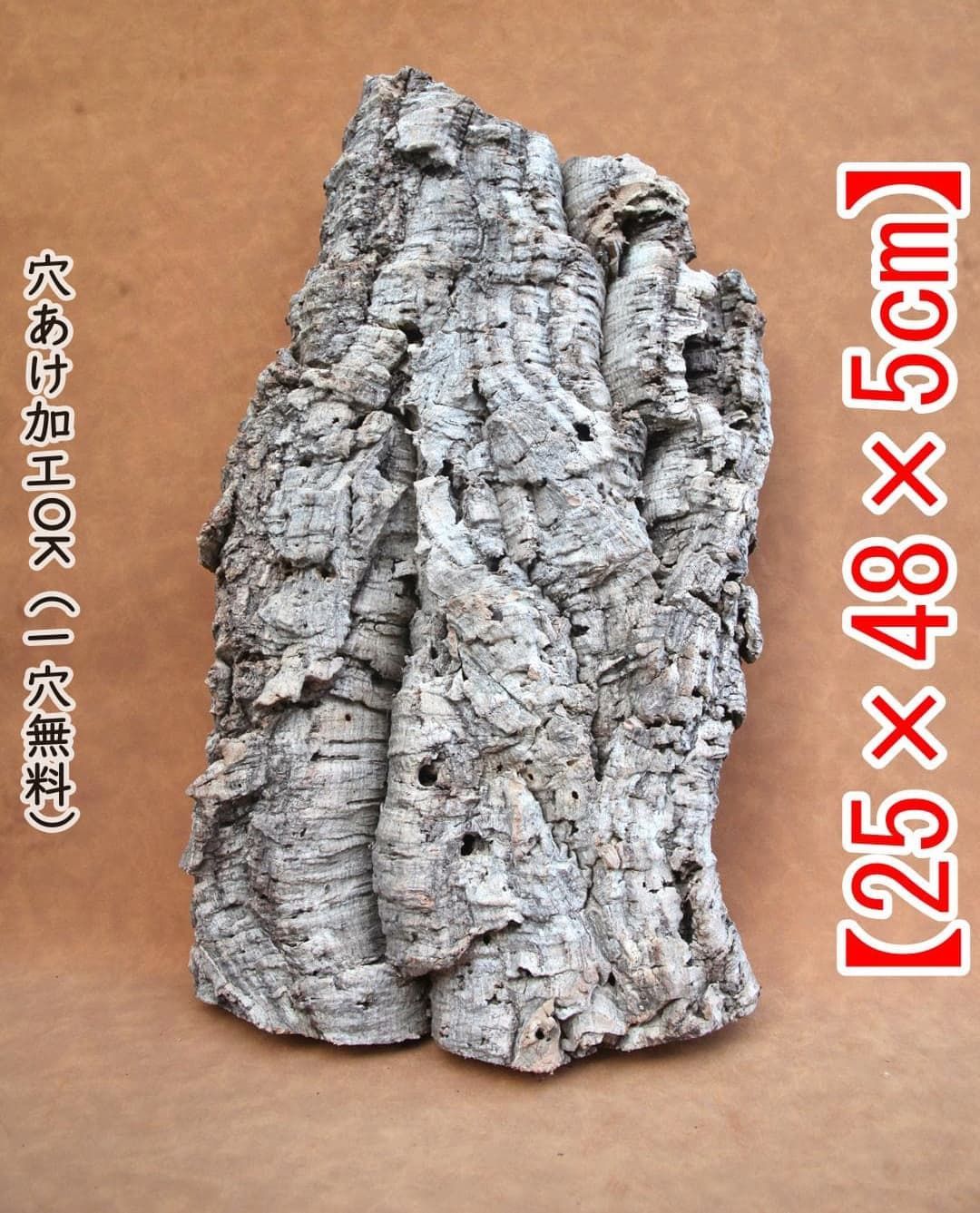 M 179 ポルトガル産 厚め コルク樹皮 コルク板 バージンコルク チランジア ビカクシダ 着生ラン 両生類 爬虫類