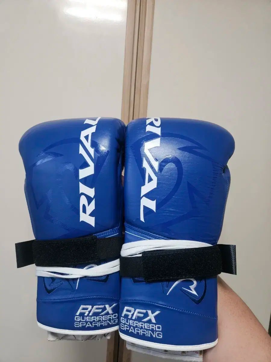 ライバル rfx グローブ 16オンス