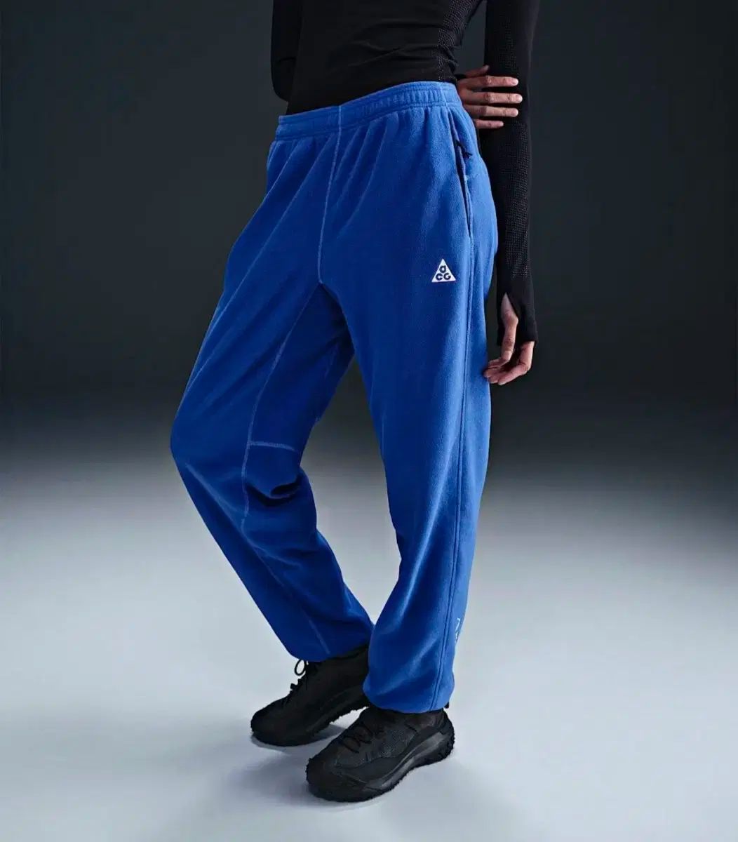 ナイキ ACG ウルフ ツリー パンツ