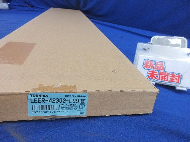 木彫 珍品 恐竜 イリテーター(イリタトール) 頭骨模型 14cm 木彫 珍品