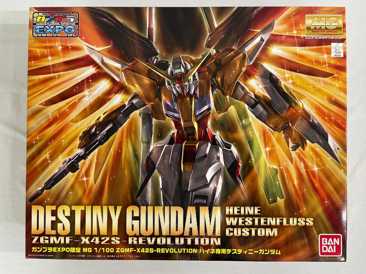MG 1 100 ハイネ デスティニーガンダム ガンプラEXPO 機動戦士ガンダムSEED DESTINY