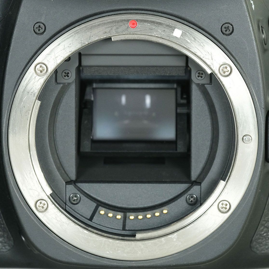 EOS 80
