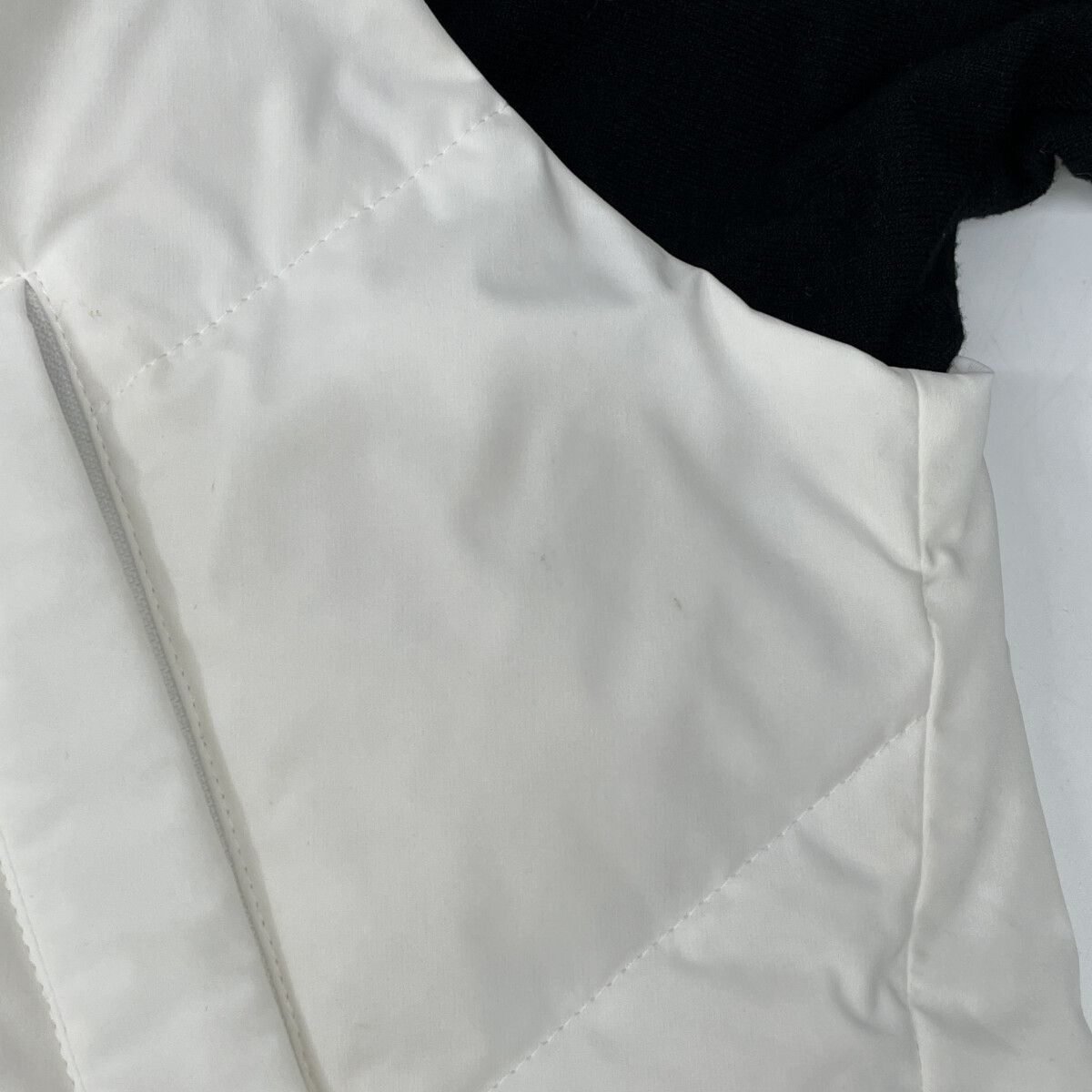 ﾎﾜｲﾄ×ﾌﾞﾗｯｸ ﾄﾞｯｷﾝｸﾞ