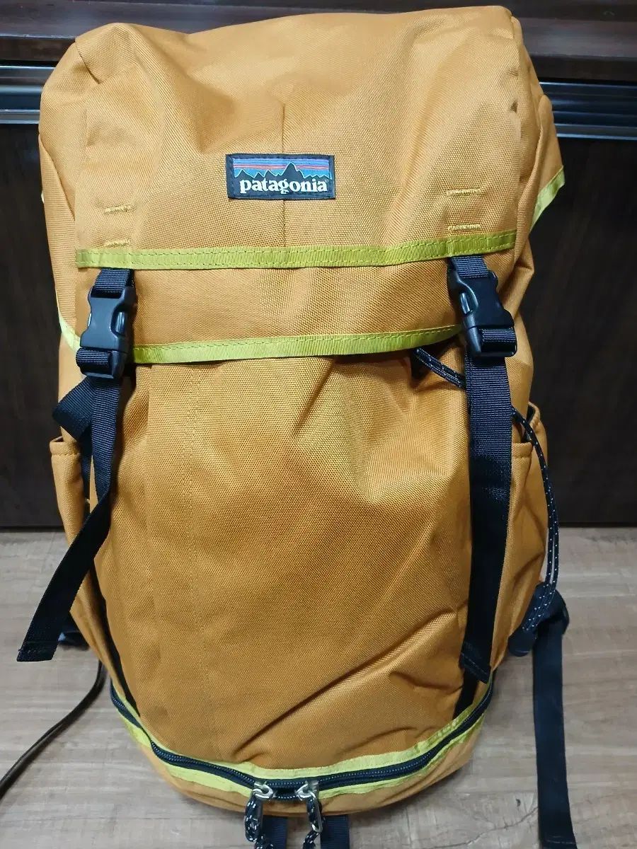 パタゴニア バックパック Pufferfish G