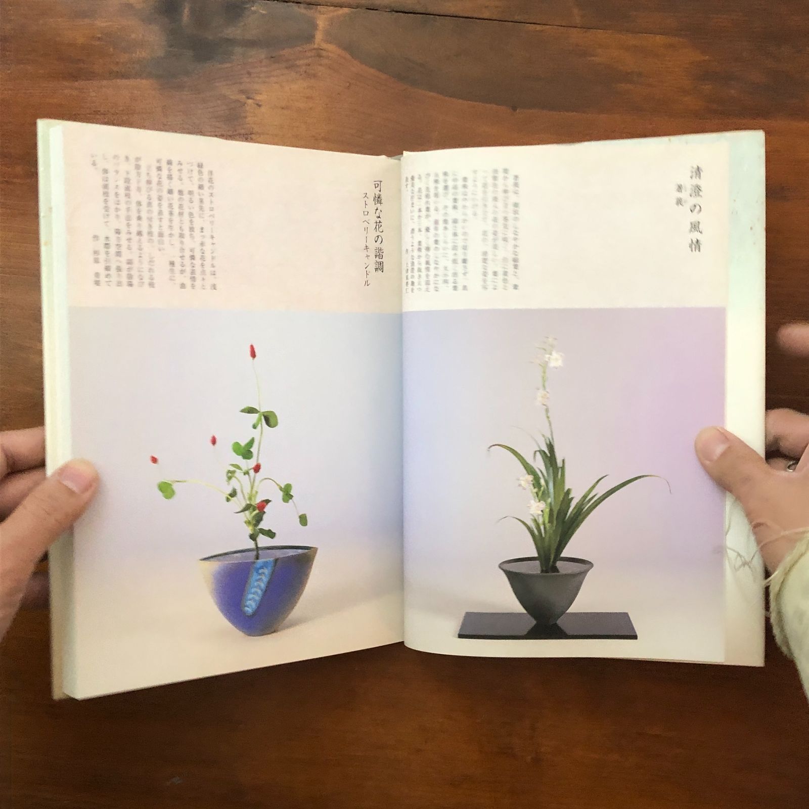 風姿抄 生花正風体作品集 春夏秋冬・新年 池坊専永（監修） 日本華道社