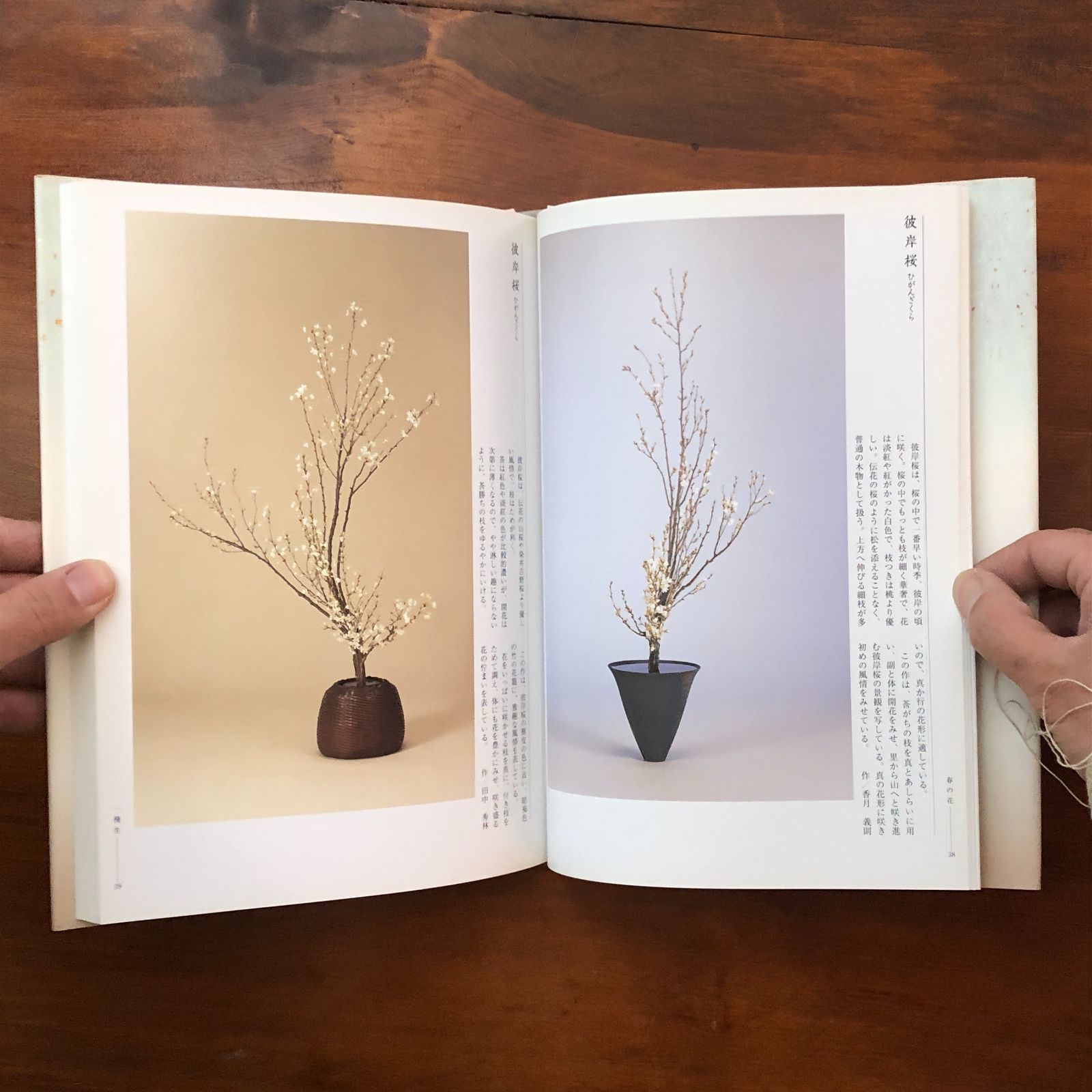 風姿抄 生花正風体作品集 春夏秋冬・新年 池坊専永（監修） 日本華道社