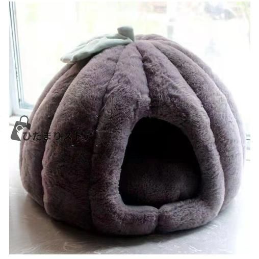 F.I.A.富士学院国際教育アカデミー　テキスト5冊　　平成4，5年頃発行か F.I.A.富士学院国際教育アカデミー テキスト5冊 平成4，5年頃発行か