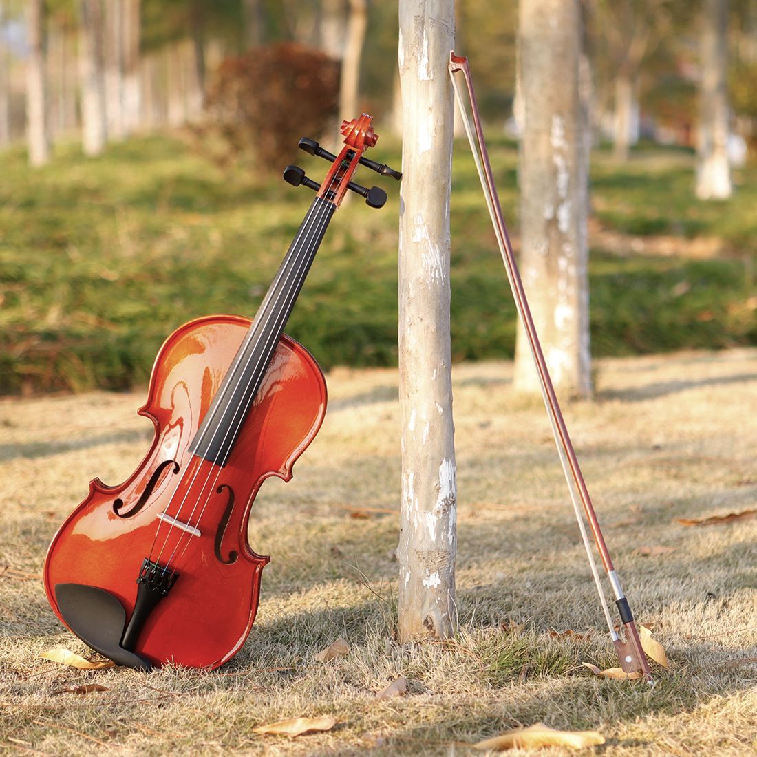 Viola 弦 4本セット中古 人気セット Viola 弦 4本セット中古 人気