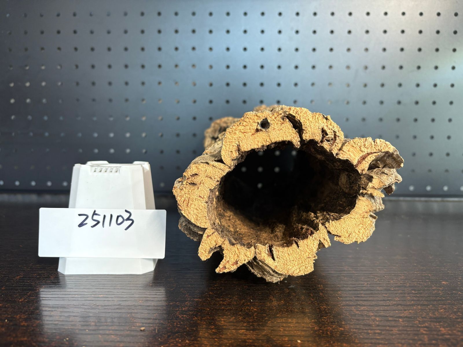 園芸用品 251103 ポルトガル産 キャノンコルク コルク樹皮 コルク板