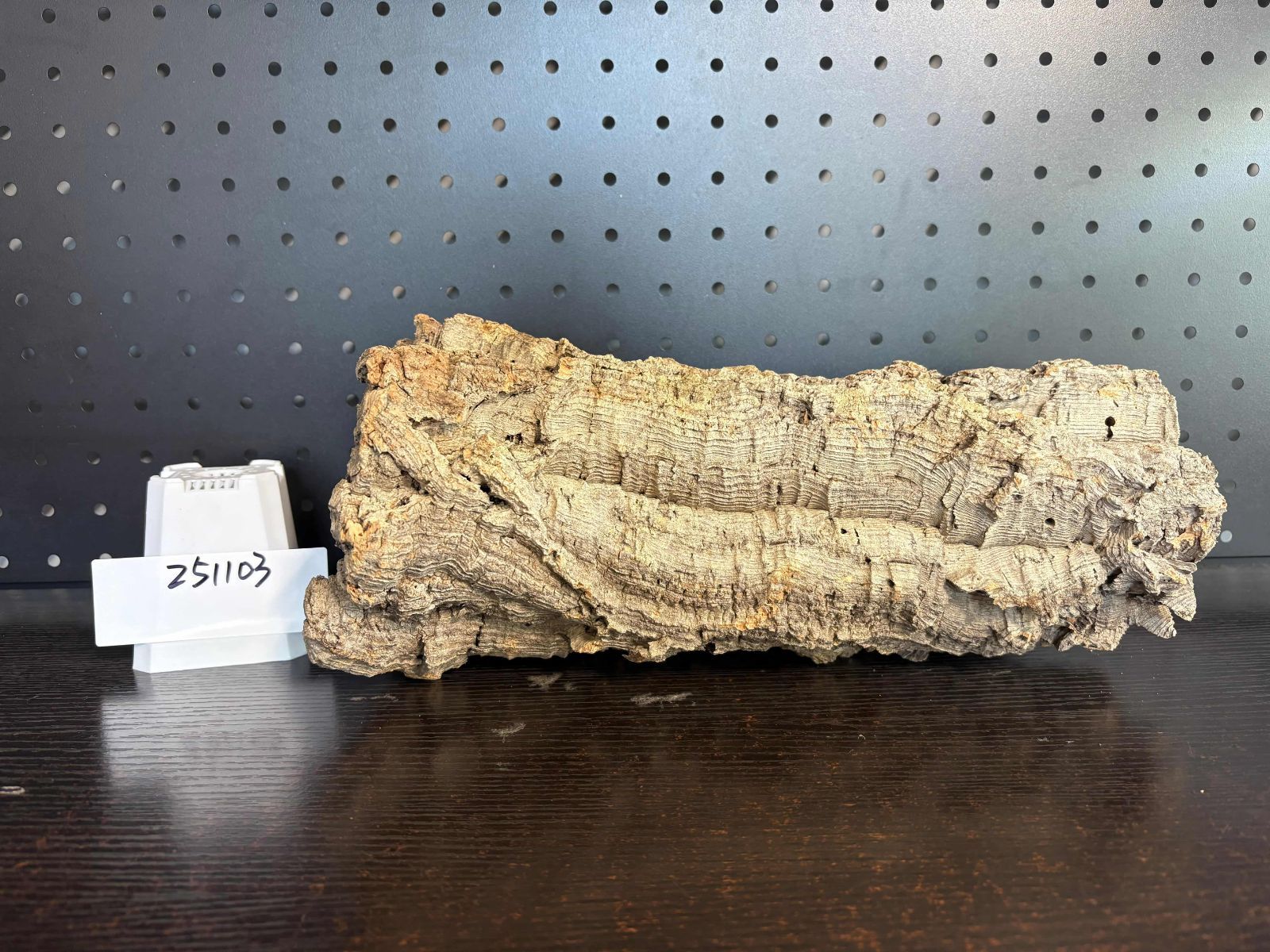 園芸用品 251103 ポルトガル産 キャノンコルク コルク樹皮 コルク板