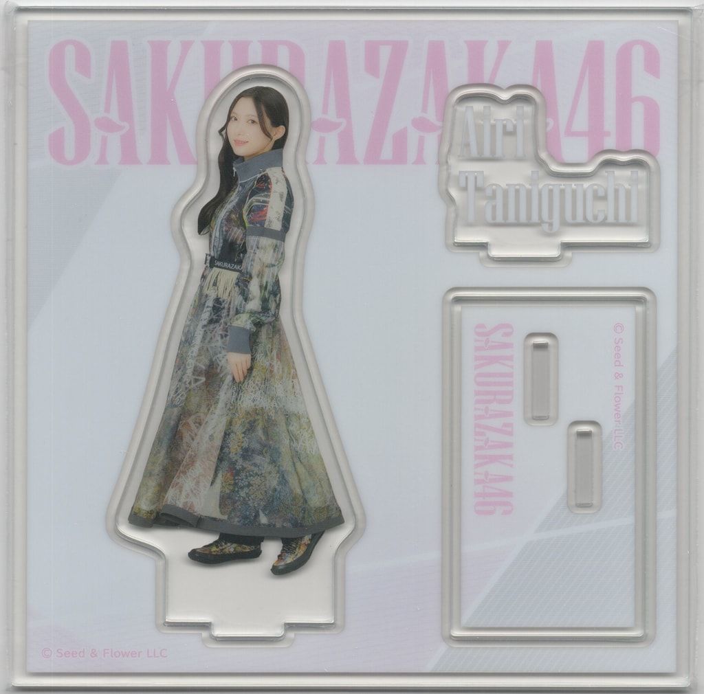 櫻坂46 2025年櫻坂46くじ 谷口愛季 ⑥アクリルスタンド賞 - メルカリ