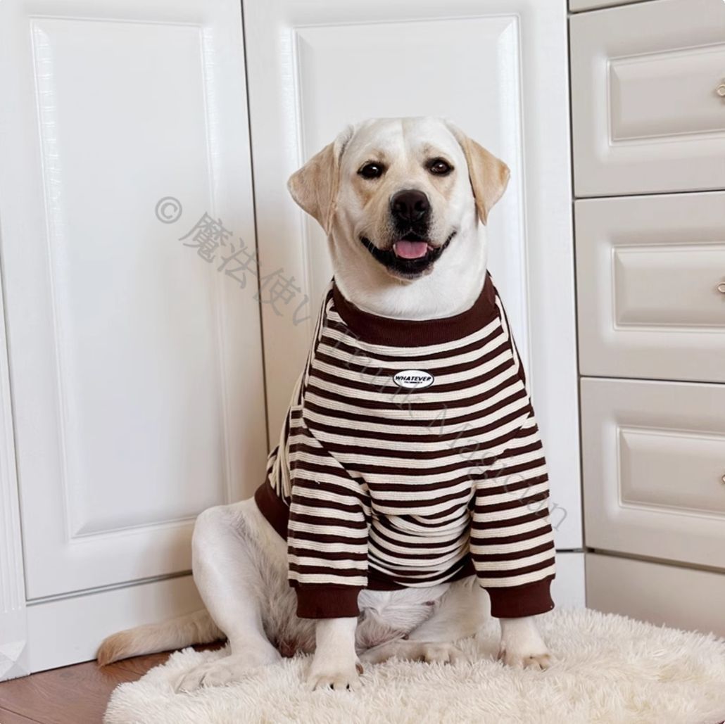 未使用級】ka na ta カナタ テーラドジャケット サイズ1