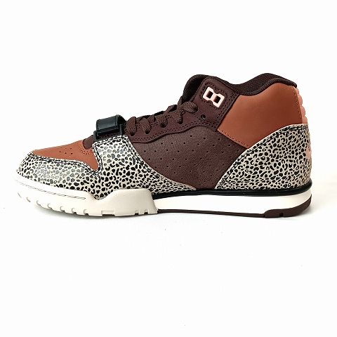 ナイキ エスビー NIKE SB Arts Rec × Nike SB Air Trainer 1 Earth and