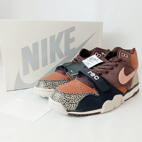 ナイキ エスビー NIKE SB Arts Rec × Nike SB Air Trainer 1 Earth and