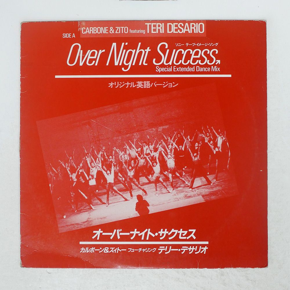 国内盤 テリーデザリオ/オーバーナイトサクセス/EPIC/SONY QY3H90009 12