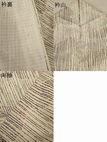  平和屋着物 夏物 小紋 絽 舞蝶文 洗える着物 jd 小紋 着物