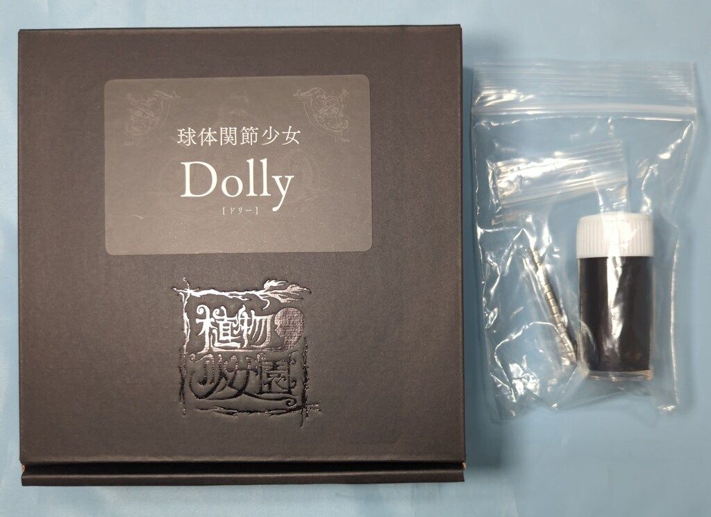 植物少女園 nonスケール 石長櫻子 球体関節少女 Dolly* - メルカリ