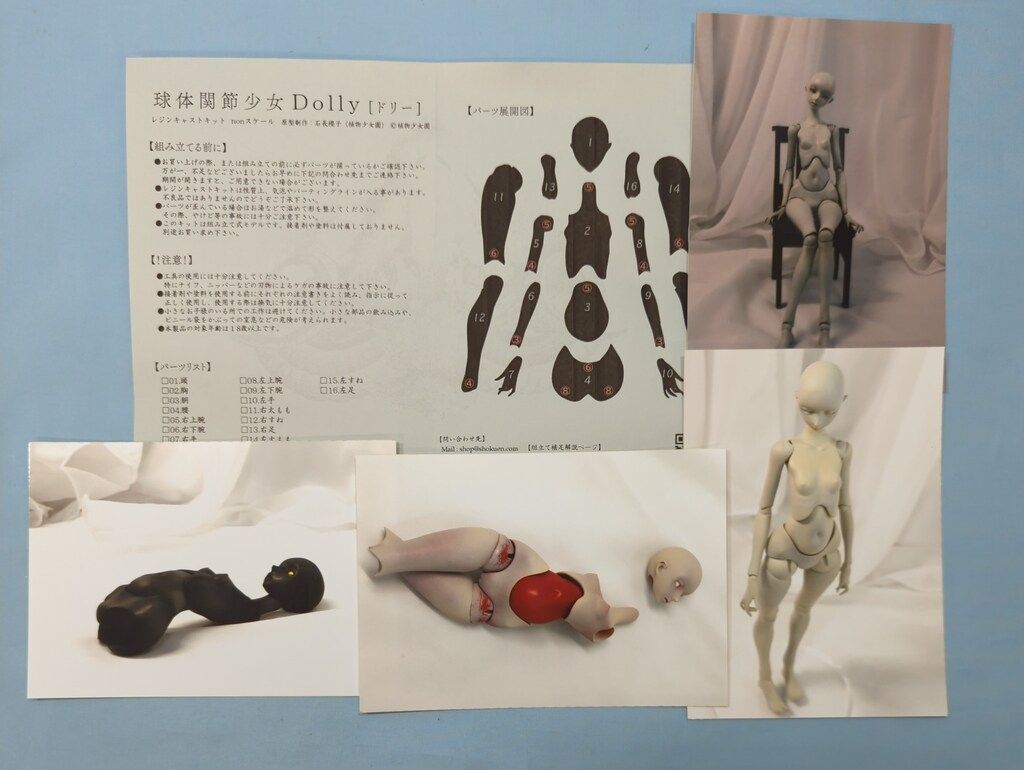 植物少女園 nonスケール 石長櫻子 球体関節少女 Dolly* - メルカリ