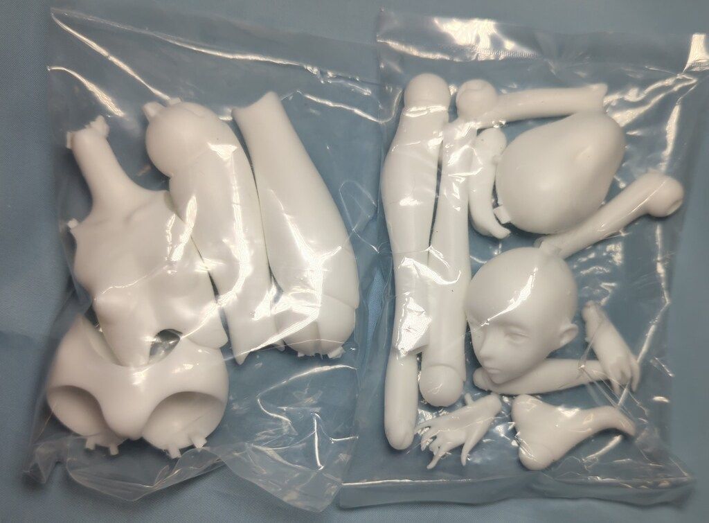 植物少女園 nonスケール 石長櫻子 球体関節少女 Dolly* - メルカリ