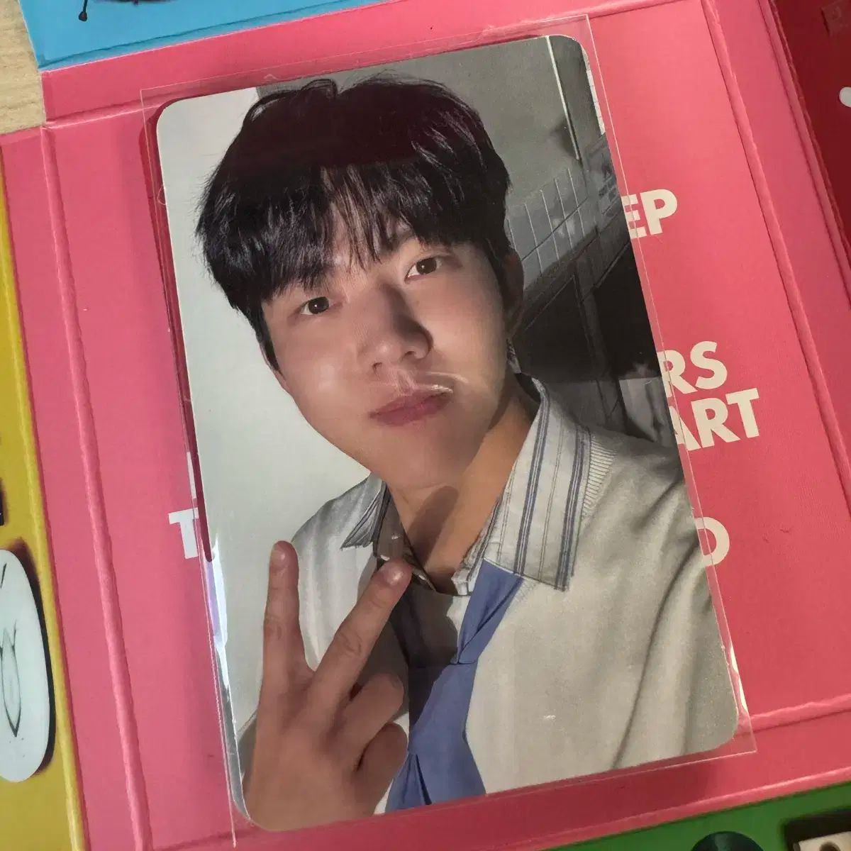 DAY6（デイシックス）ネモ半 DICE ドウン