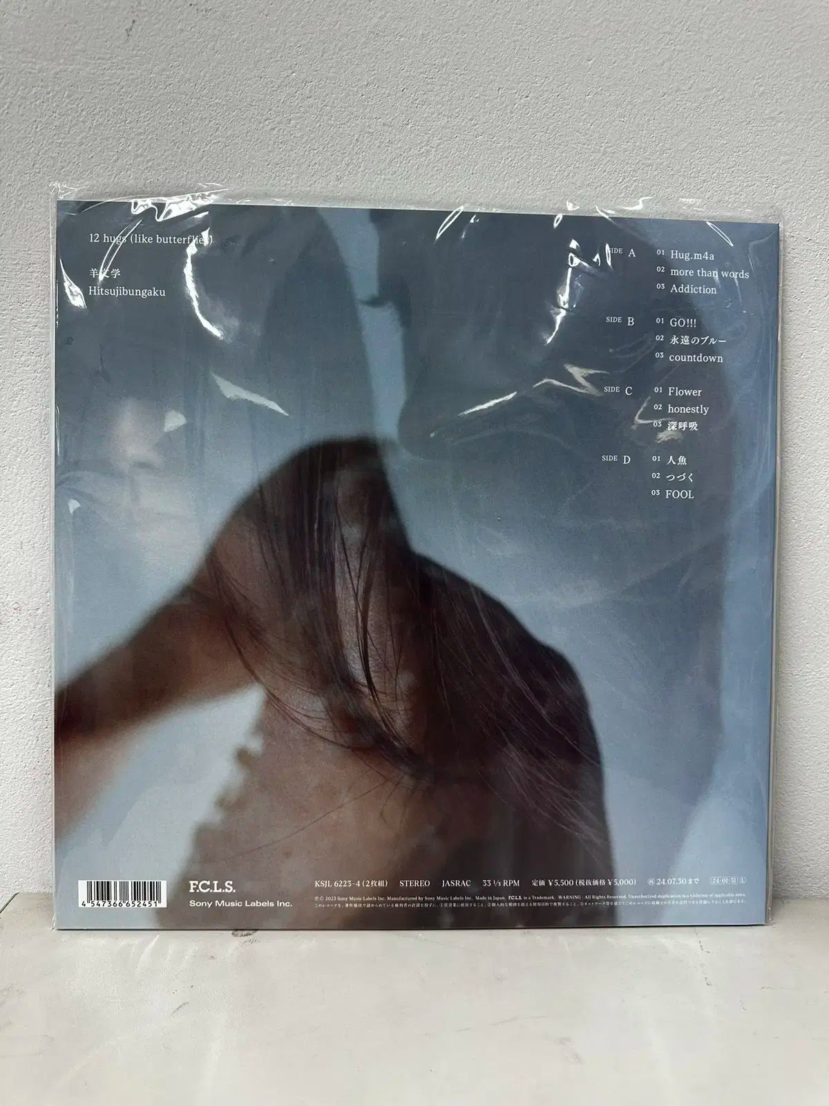 ひつじ文閣 両門学 12 Hugs LP コンデンサーマイクセット DJ機材