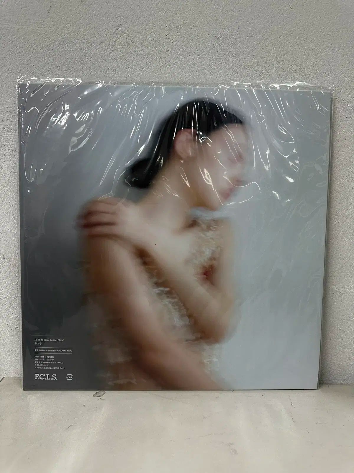 ひつじ文閣 両門学 12 Hugs LP