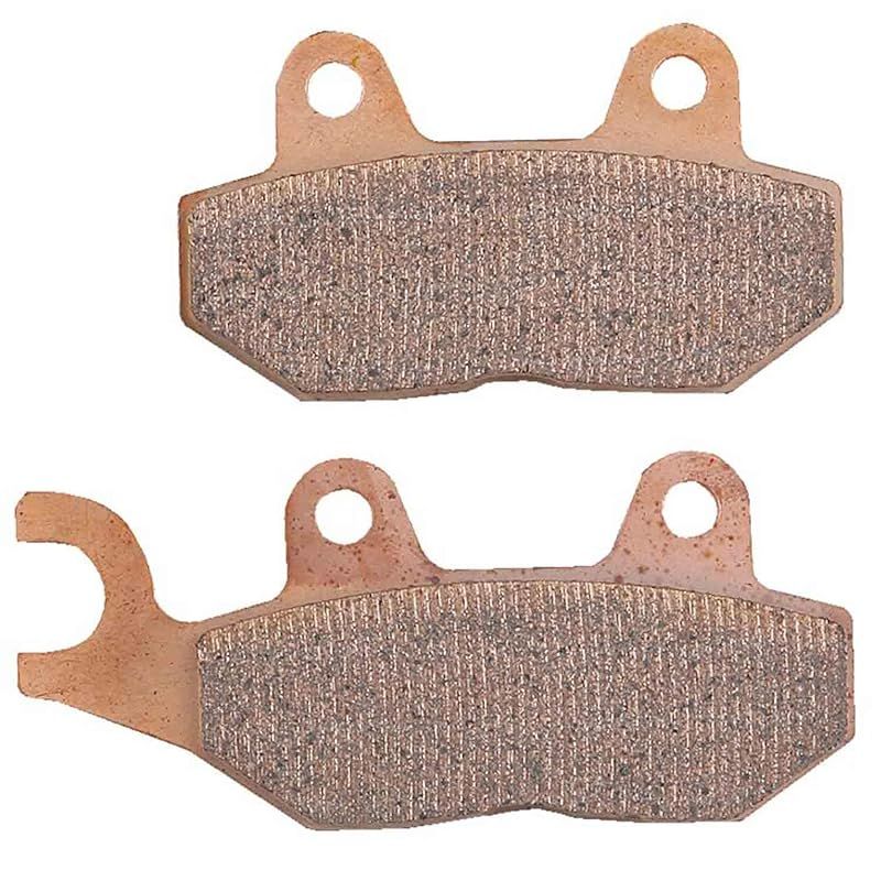 ストレリチア オーガスタ 大株 180cm 4株セット 新芽あり 極楽鳥花 大型