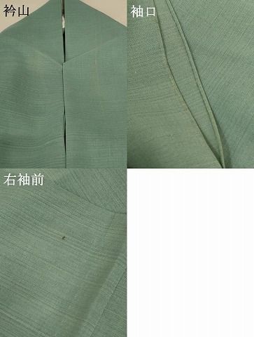  平和屋着物 夏物 色留袖 紗 草花文 暈し染め 正絹 jd 黒留袖 着物