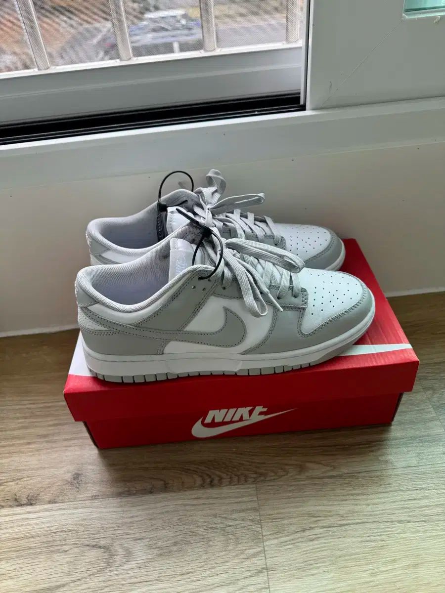 ナイキ ダンクロー グレー フォグ 270
