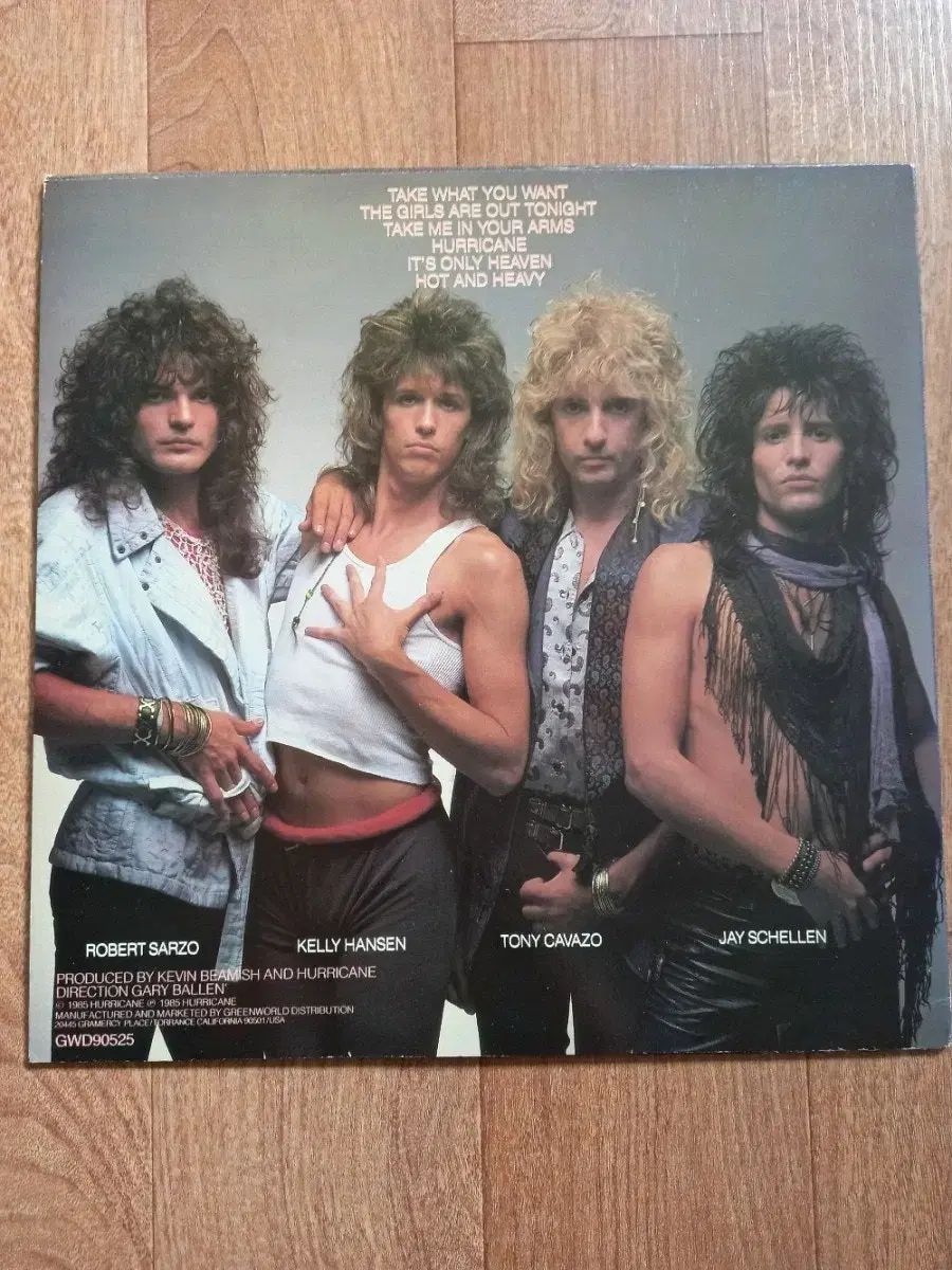 hurricane lp 収益クラス その他 楽器 機材 ホビー 楽器 アート