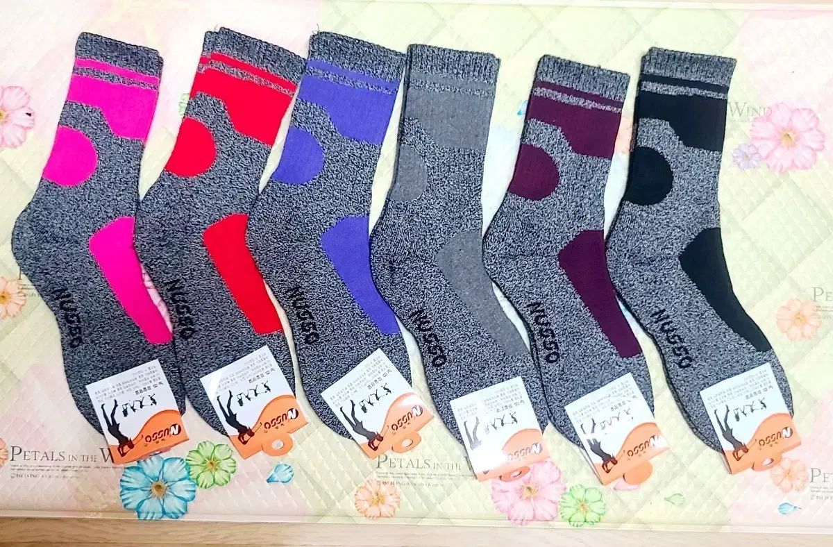 かわいい靴下 3級 ファイル A級 ミドル丈 レディース 用 6個