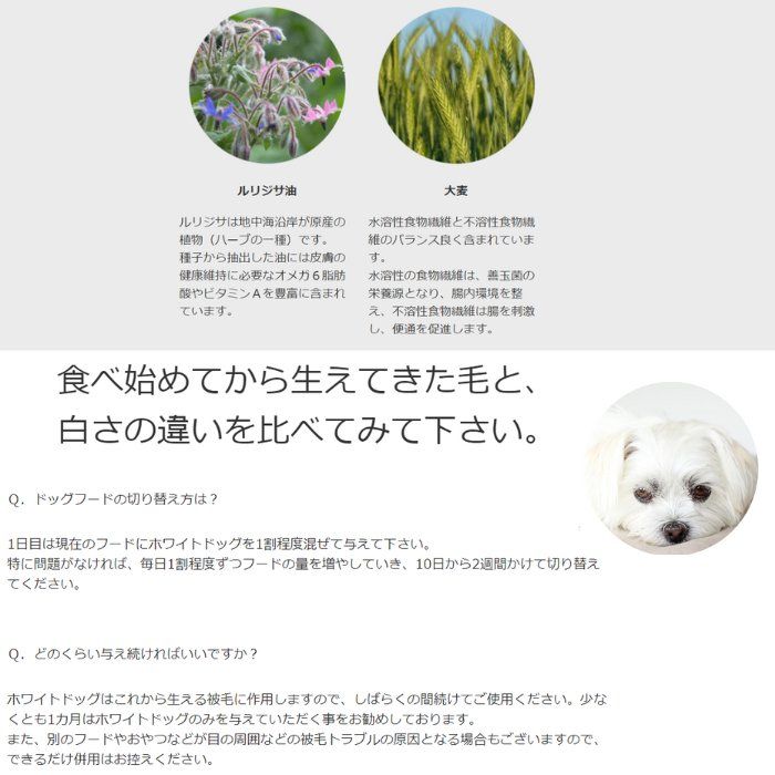 ホワイトドッグ ４kg