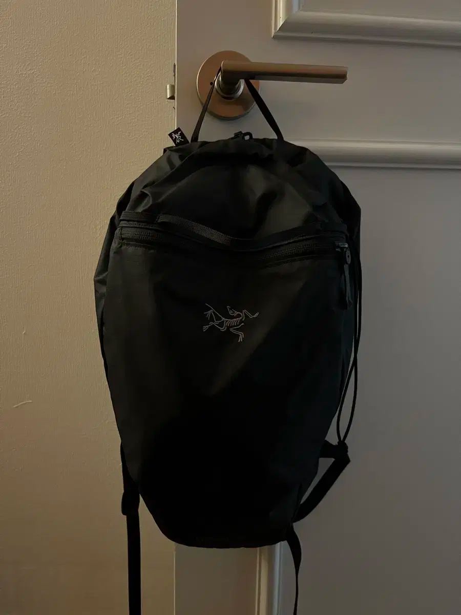 アークテリクス ヒリアド 10 バックパック ブラック