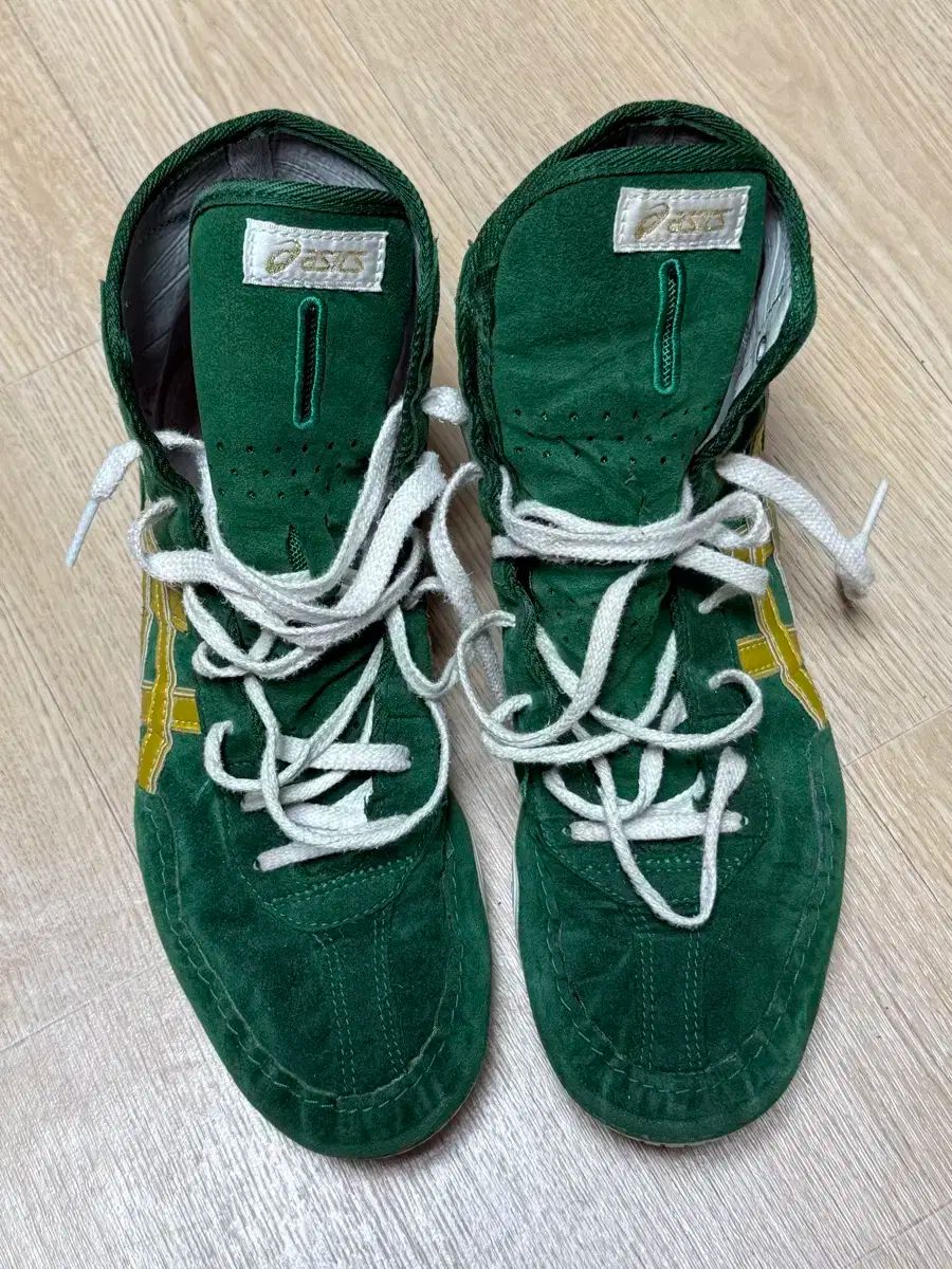 アシックス レスリング 靴 ハンドメイド 260