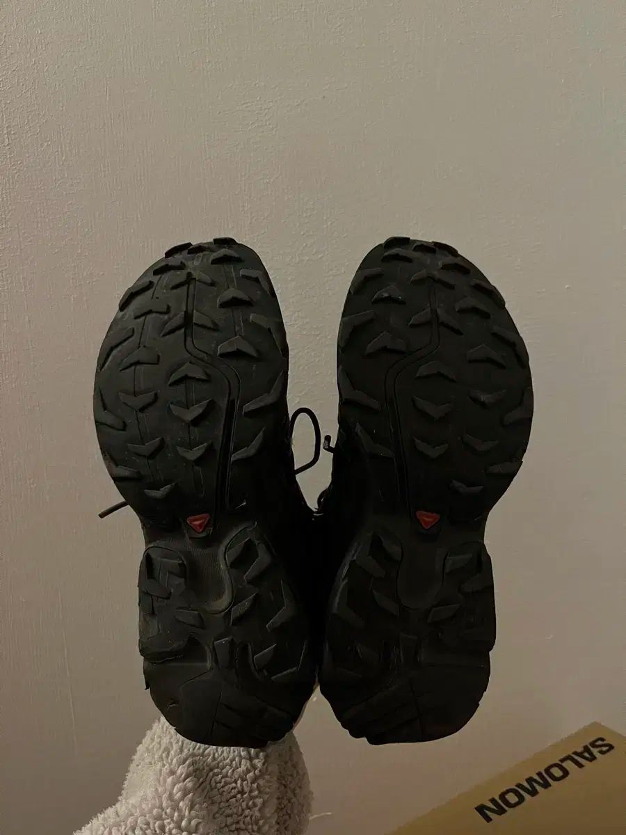 エクスペンス ブラック