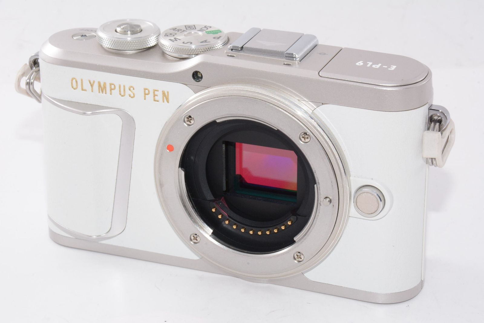 外観特上級 OLYMPUS ミラーレス一眼カメラ PEN E PL 9