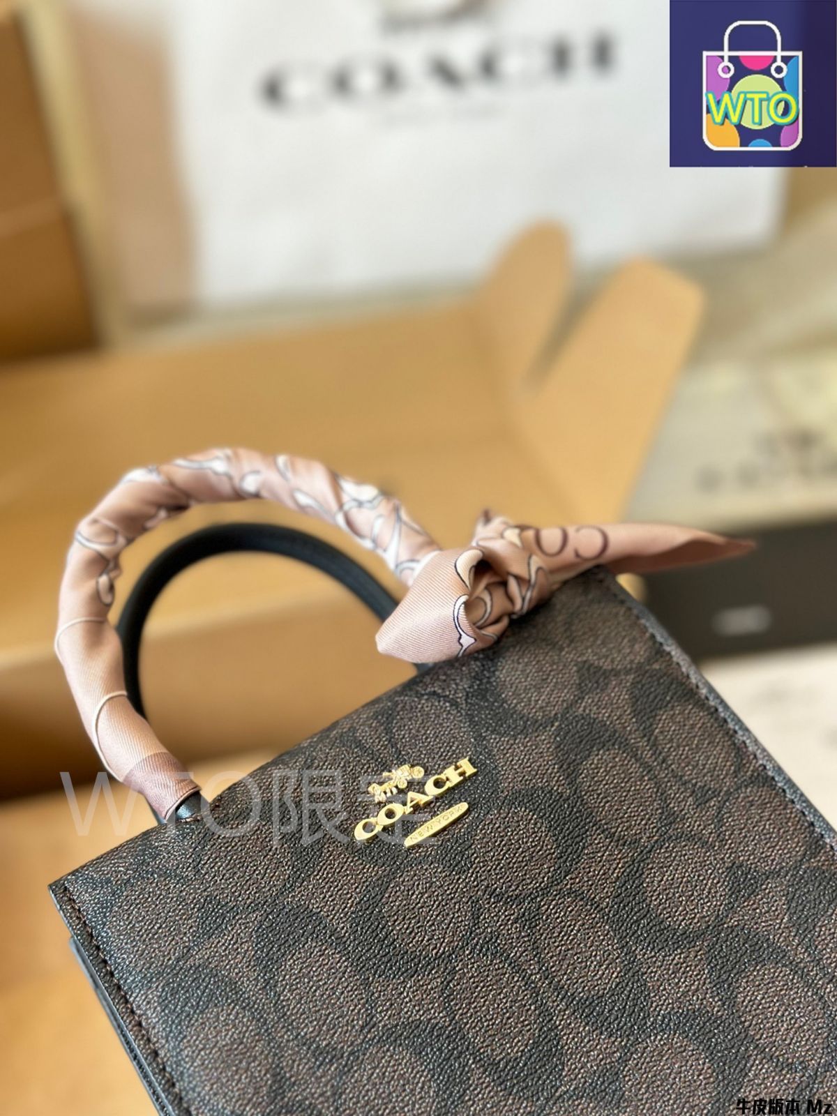 コーチ ミニカリー