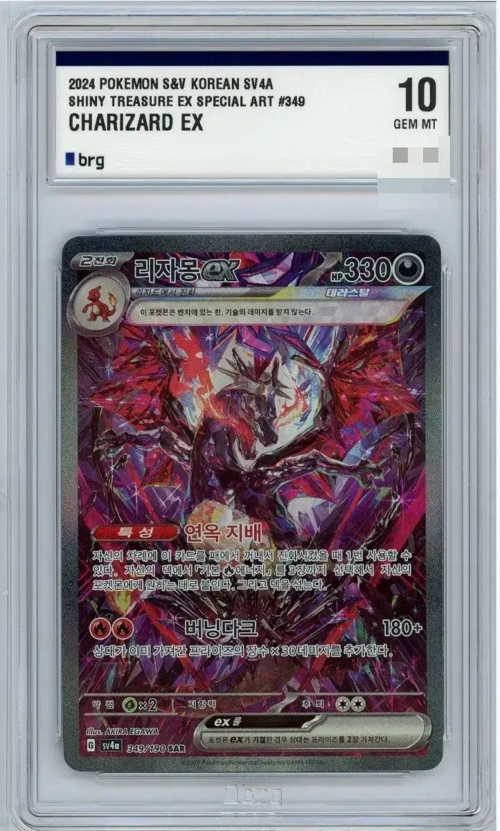 韓国版 チュールツリー リザードン BRG 10