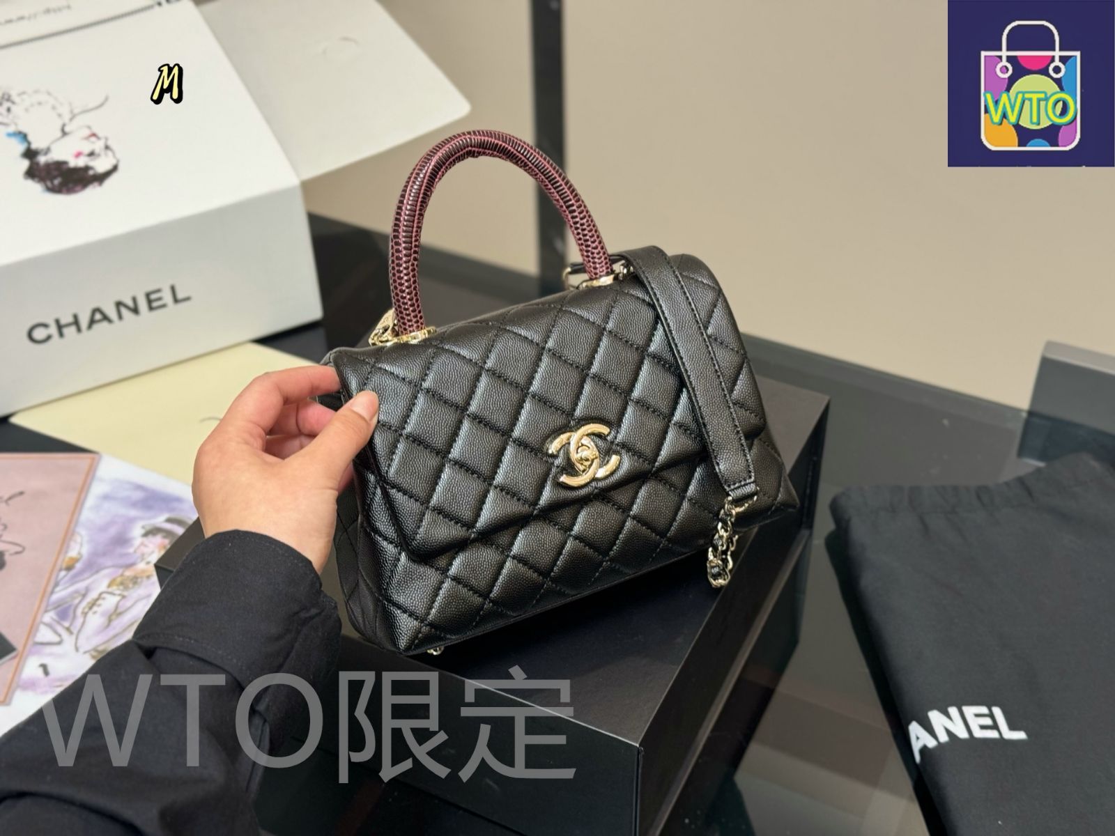 今日特価】Chanel Coco Handle ハンドバッグ ココハンドル-WTO輸入2