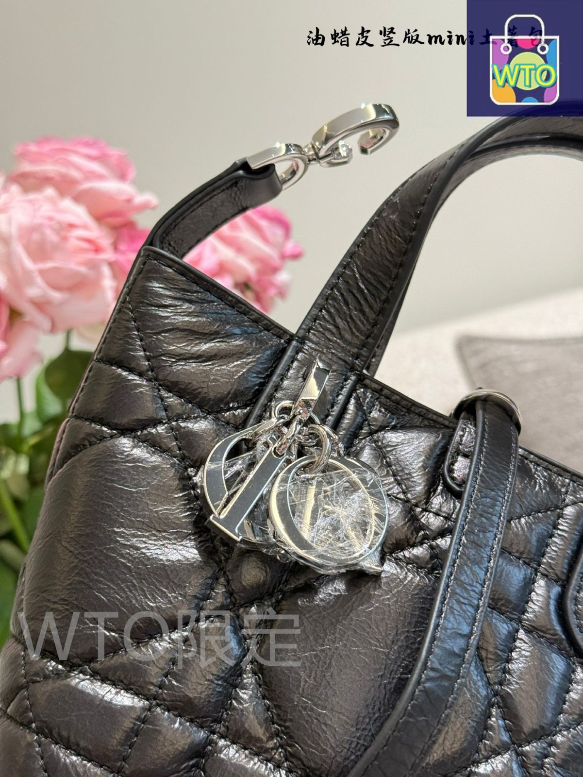  今日 Dior Toujours Waxed Leather Bag ウォックスレザーバッグ ハンドバッグ バッグ