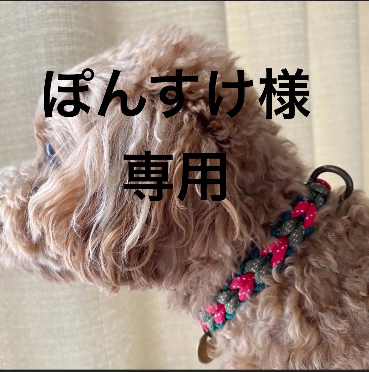 ポンスケ様専用 ポンスケ❤️様専用【ブランド公式通販】