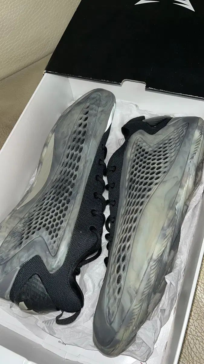 adidas AE 1 Low バスケシューズ 285