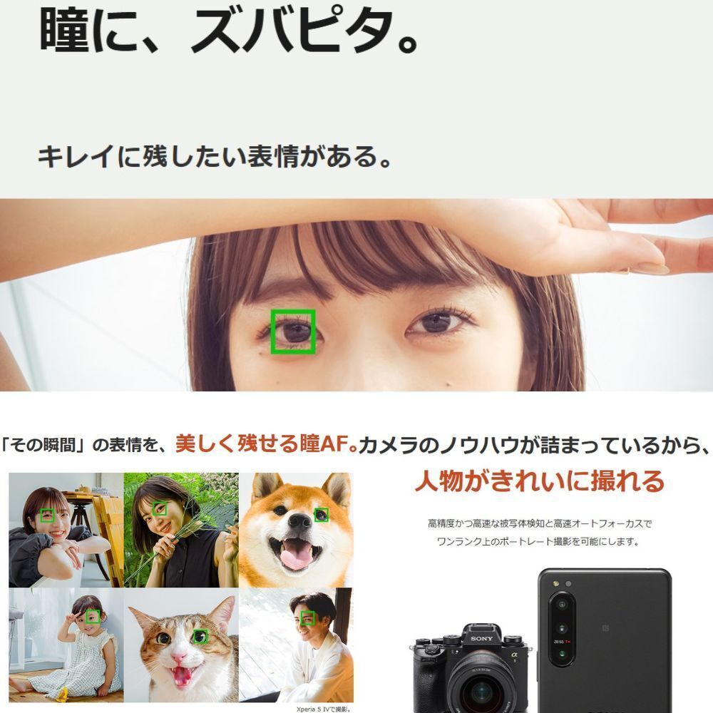 C エクリュホワイト